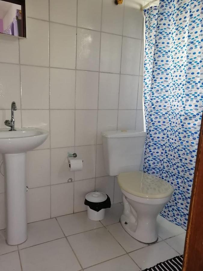 Aquarela Piuma